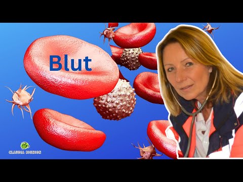 Blut: feste Bestandteile - Normwerte - Hämatopoese | Dr. Claudia Bignion