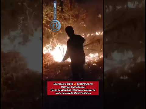 🔥DESESPERO E UNIÃO 🚨 FOGO VOLTA A AVANÇAR E DEIXA MORADORES EM DESESPERO EM CAAPIRANGA/AM
