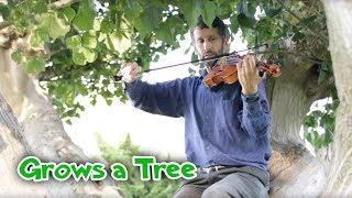 Grows a TREE... in song and season! by Michael Lyon
