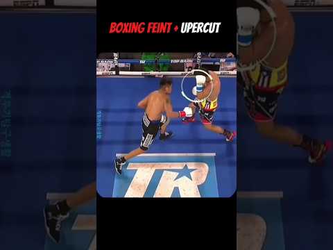 Boxing Feint+Uppercut🥊 #boxing #ufc #mma #fighter