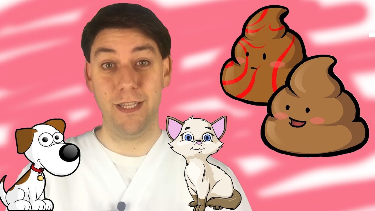 Watch Now La CACCA del tuo cane e del tuo gatto è sana La CACCA del tuo cane e del tuo gatto è sana