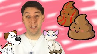 La CACCA del tuo cane e del tuo gatto è sana