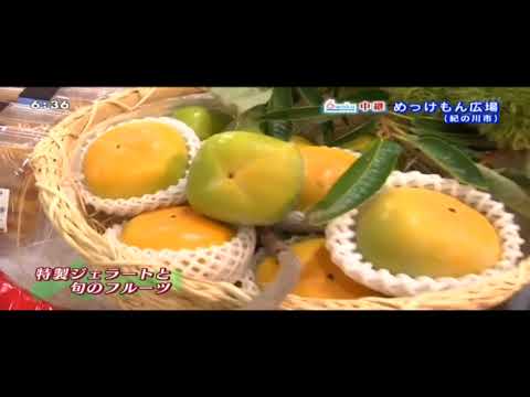 20180828JA紀の里めっけもん広場