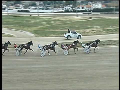 Trotto 10/01/2017 - 1ª corsa