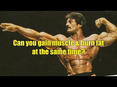 Can you gain muscle & burn fat at the same time? (The Colorado Experiment) #fitness #mikementzer
