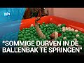 Selfieparadijs geopend, voor de foto's met het échte kerstgevoel