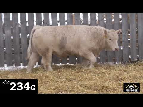 Lot 234G - AM Sunrise 2020.mp4