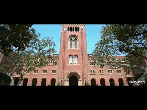 The Wild Kratts Adventures Of Zoboomafoo | Official Trailer | Universal Pictures