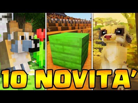 TOP 10 NOVITÀ in MINECRAFT 1.19 *che vorrei*