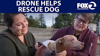 Drone pilot helps rescue family's dog in Petaluma | KTVU