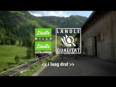 Alpschwein mit Ländle Gütesiegel - Ausflug auf die Alpe Brongen in Egg (Bregenzerwald)