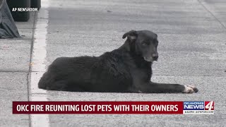 OKC fire reuniting lost pets with their owners