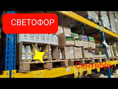 🔥Светофор.Обзор товара и цены.Новинки посуды.Сентябрь 2021.🚦