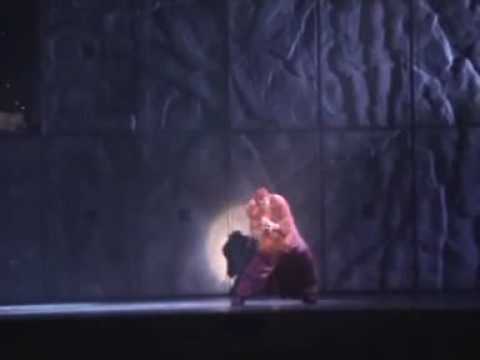 Notre dame de Paris - Fabrizio voghera - Quasimodo