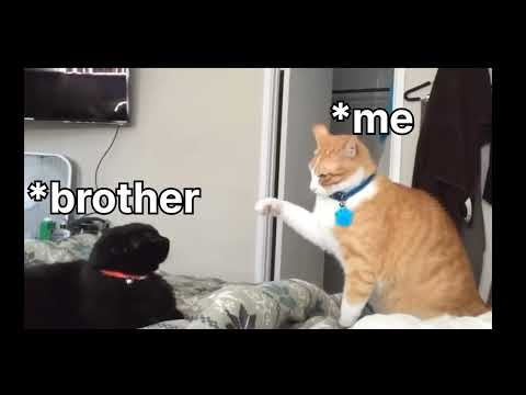 POV- ME AND MY BROTHER FIGHTING FOR A PLACE TO SLEEP 😅