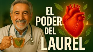 7 Secretos del LAUREL para una Presión Arterial Saludable