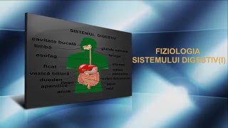 Fiziologia Sistemului Digestiv