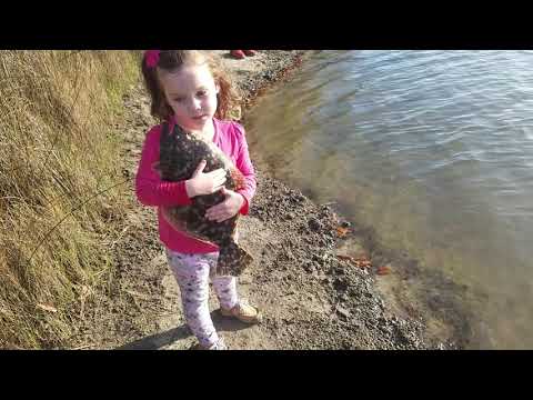 Flounder fishing!