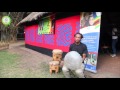 Ephat Mujuru's son playing live @ HIFA 2017 #263Chat
