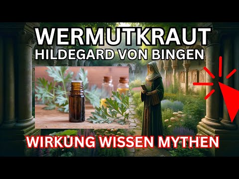 Wormwood effect according to Hildegard von Bingen 🌞 Artemisia Absinthium 💚