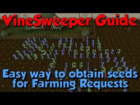 Vinesweeper Guide - Amazing for Ironman! [Runescape 3] Easy Seeds for Farming Requests