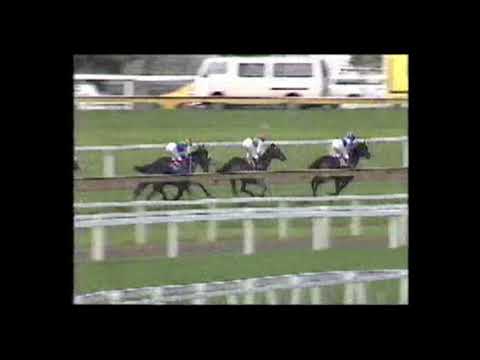 1989 Tancred International - Our Poetic Prince