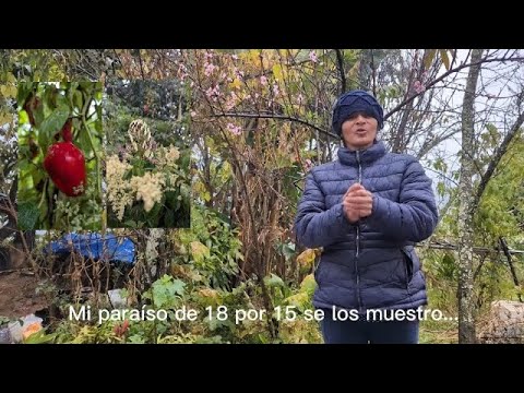 Let me show you my paradise...