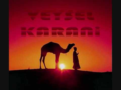 Vejsel Karani - Serif DELIC