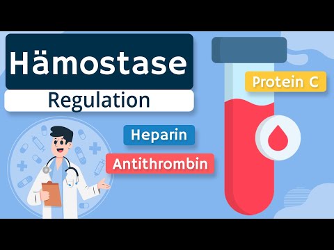 Regulation of hemostasis (protein C, heparin, coumarins, ...) simply explained