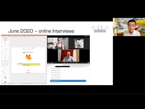 Linguistic fieldwork in a pandemic