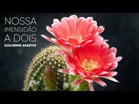 Nossa Imensidão a Dois - Guilherme Arantes