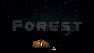 🌲 Campfire in the Forest (1 Hour) | Crackling Fire & Night Forest Sounds for Sleep & Relaxation.🔥