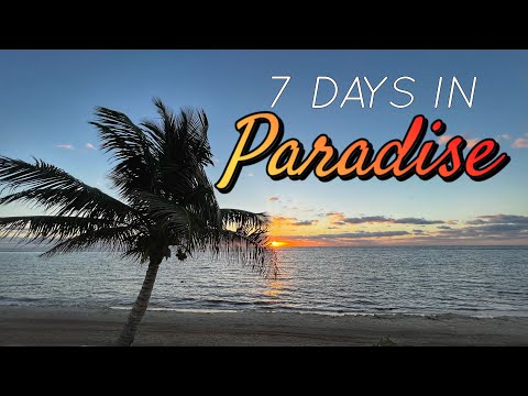 Videos del Moon Palace Nizuc 5★ en Cancún, MéxicoVer MásVerPrecios17CerrarConsulta por Whatsapp 🇦🇷BookingTripadvisorExpediaAgodaTravelocityOrbitzTripSkyscannerDespegarKayakHotelesBestdayDestiniaTrivagoLastminuteHotwireWotif