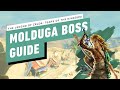 The Legend of Zelda: Tears of the Kingdom - Molduga Miniboss Gameplay Walkthrough