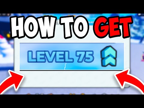 How To LEVEL UP FAST In Case Paradise! (BEST METHODS) Roblox