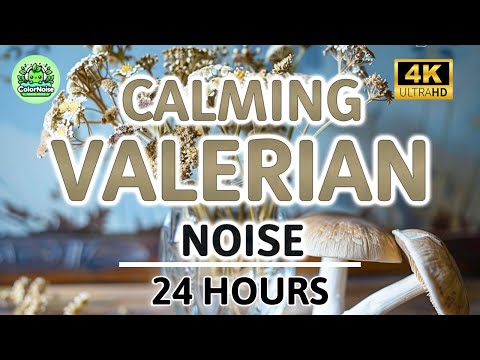 Calming Valerian Root Brown Noise | 24 Hours | Black Screen | For Sleep, Stress and Tinnitus Relief