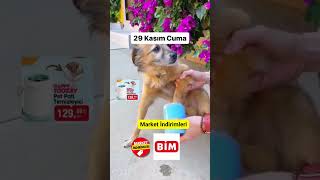 Download lagu BİM Pet Pati Temizleyici | 29 Kasım mp3