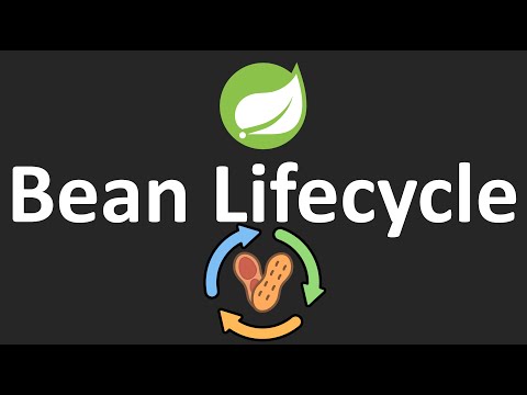 Spring Tutorials 8 Bean Lifecycle