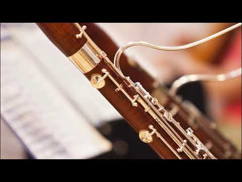 Johann David Heinichen - Sonata for Oboe, Bassoon and Basso Continuo in G Minor