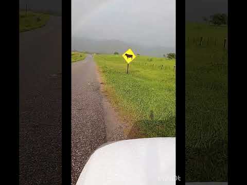subida da serra da Palmácia -Ce