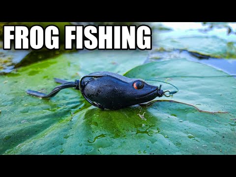 Watch Bank Fishing with the River2Sea Bully Wa 2 Frog (Blowups and Review)  Video on