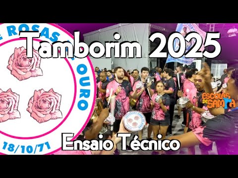 Rosas de Ouro 2025 - DESENHO DE TAMBORIM #BotaOFone #PioneiroNoVídeoDosBreques