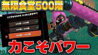 【飛び回るのは無理】パワータンク絶品エンジンローラーで無限食堂500階を突破！あまりにも難しい【スプラトゥーンレイダース】