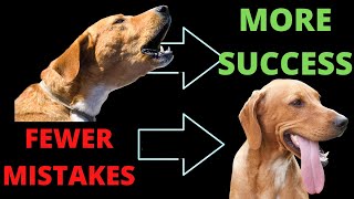 Top Mistakes with Reactive Dog Training