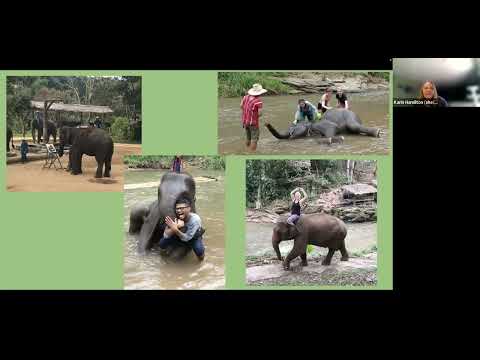 Phsrc Global Program Info Session 2023 2024