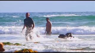 Friends Of Emmet   The Happening Sea