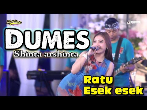 THE CELENG - DUMES - SHINTA ARSINTA ( RATU ESEK ESEK ) Satu panggung di bikin esek esek