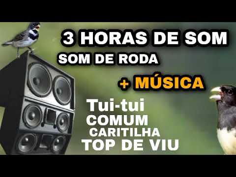 Som de roda para papacapim com musica ( melhor som de torneio para papa capim)