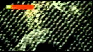 OVERDOSE TUNES - &quot;BROTA&quot; - RESORTE.mpg