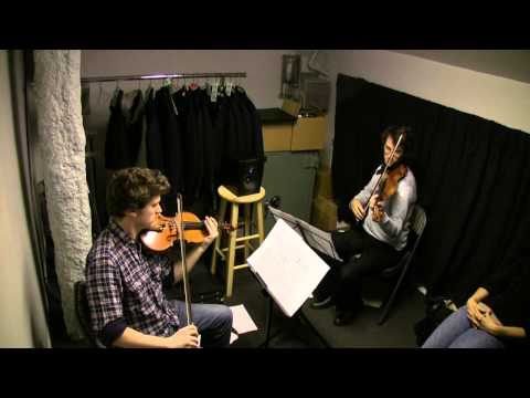 Andrew Tholl -- micro compositions for violin duo